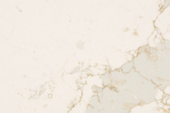 5116_CalacattaNectar_CU_275X454_R300_RGB_181223