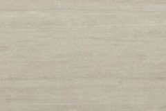 550_Silvax_Full_RGB_250624-1