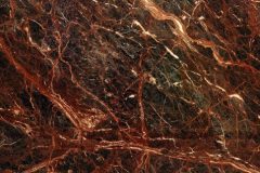 Medusa-Rosa-476x351-1