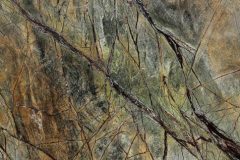 Rainforest-Green-476x351-1 Rainforest-Green-476x351-1