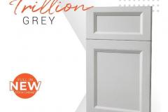trillion-grey-door_big